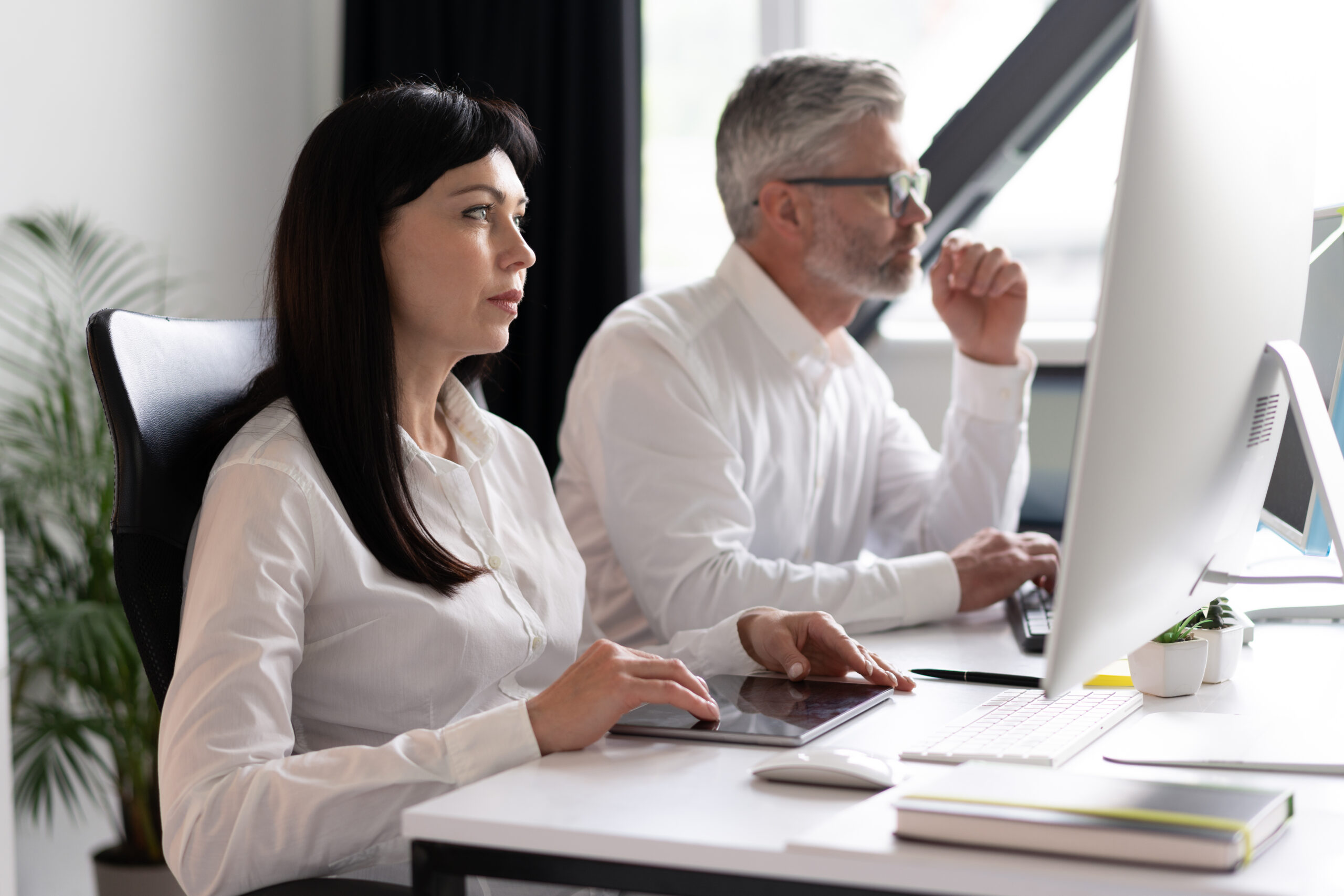 Focused Professionals Working on Computers in Modern Office